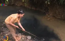 Thủ tướng chỉ đạo xử lý vấn đề ô nhiễm nguồn nước sạch sông Đà