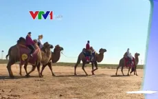 Cuộc sống hòa cùng thiên nhiên trên thảo nguyên Kalmykia