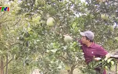 Nguồn vốn tín dụng chính sách giúp nhiều hộ dân thoát nghèo