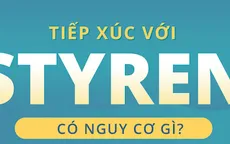 [Infographic] Styren và những nguy cơ khi tiếp xúc với chất này