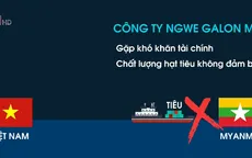 Cảnh báo mất hàng khi xuất khẩu hồ tiêu sang một số thị trường