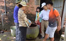 Bà Rịa - Vũng Tàu: Hơn 11.600 ca mắc sốt xuất huyết, 5 ca tử vong