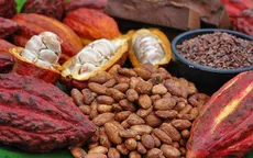 Giá ca cao quay đầu tăng