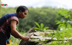 Gặp gỡ người đam mê đàn đá ở Tây Nguyên