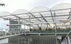 Trang trại bò nổi - Tương lai của ngành nông nghiệp