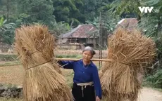 Thúc đẩy bình đẳng giới cho phụ nữ dân tộc thiểu số