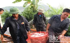 Bắc Giang: Giá thủy sản tăng nhẹ