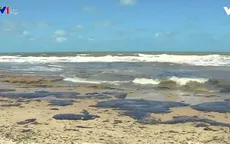 Dầu loang tại Brazil đe dọa rạn san hô