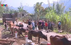 Tập trung phát triển vùng dân tộc thiểu số, miền núi