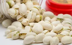 "Hô biến" vỏ hạt dẻ cười thành chậu hoa sen đá độc đáo
