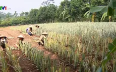 Biến đồi hoang thành trang trại