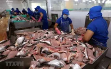 Thuế xuất khẩu cá tra vào Mỹ giảm về 0%
