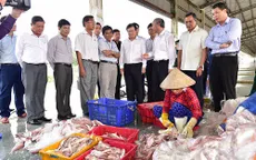 28 tỉnh ven biển ưu tiên tập trung gỡ thẻ vàng thủy sản