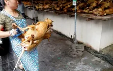 Trung Quốc: Thịt lợn đắt, người dân chuyển sang ăn thịt chó