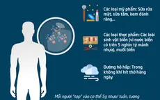[Infographic] Hạt vi nhựa đi vào cơ thể chúng ta như thế nào?