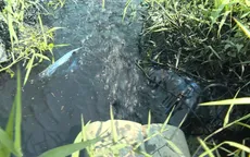 TP.HCM: Cơ sở giặt tẩy chưa có kế hoạch bảo vệ môi trường