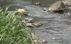 Giải quyết nguy cơ mất an toàn nguồn nước bằng bài toán liên vùng