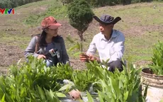 Sau nắng hạn, người dân thiếu vốn trồng lại rừng