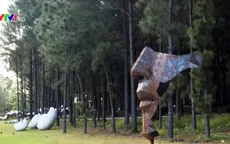 "Art In The Forest" - Điểm đến thú vị của những người yêu nghệ thuật
