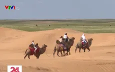 Trải nghiệm hành trình khám phá cao nguyên Kalmykia trên lưng lạc đà