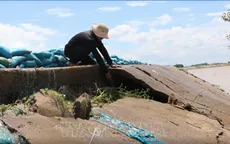 Đê bao Quảng Điền xuống cấp nghiêm trọng