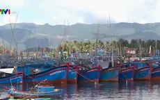 Bình Định chống khai thác thủy sản bất hợp pháp