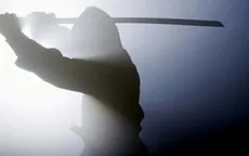 Câu chuyện về những võ sĩ Ninja Nhật Bản