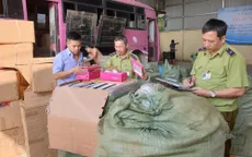 Lạng Sơn: Thu giữ hàng nghìn gói dầu gội đầu nhập lậu