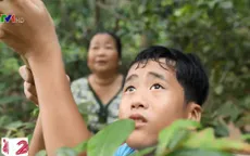 Cặp lá yêu thương: Niềm tự hào của mẹ