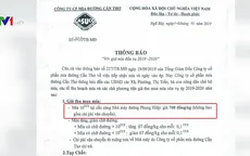 Công bố giá thu mua mía 700 đồng/kg, dự báo nông dân bị lỗ