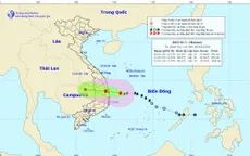Bão số 5 còn cách đất liền Bình Định - Khánh Hòa khoảng 150 km