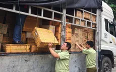 Hà Tĩnh tiến hành tiêu hủy hơn 6.000 sản phẩm không rõ nguồn gốc