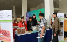 Techfest vùng Tây Nguyên và duyên hải Nam Trung Bộ: Tạo sự lan tỏa trong cộng đồng khởi nghiệp sáng tạo