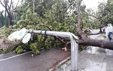 Họp ban chỉ đạo ứng phó mưa lũ sau cơn bão số 5