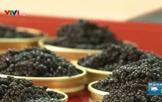 Nở rộ thị trường trứng cá muối