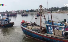 Hệ lụy từ những tàu cá không được kiểm định