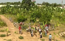 Trà Vinh: Trồng cả vườn chuối vào sân trường tiểu học