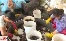 Trải nghiệm khu chợ "càng lớn, càng nhỏ"