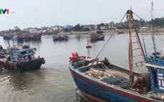 Nhiều tàu cá không được đăng kiểm