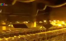 Cảnh sát Italy phát hiện vườn cần sa khổng lồ, rộng 500m2