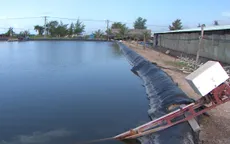 Khi nước mặn không đủ mặn