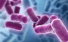 Sử dụng lợi khuẩn Bacillus - Hướng đi mới trong việc bảo vệ sức khỏe đường tiêu hóa