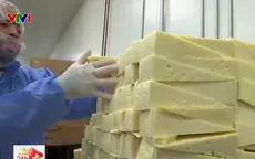 Nhiều công ty tại Mỹ tăng nhập khẩu phô mai do thuế quan