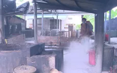 Dịch tả heo châu Phi bùng phát mạnh ở Khánh Hòa