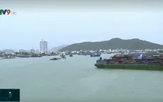 Bộ NN&PTNT kiểm tra công tác phòng chống bão tại Khánh Hòa