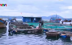 Khánh Hòa cấm biển, cho học sinh nghỉ 2 ngày tránh bão số 6
