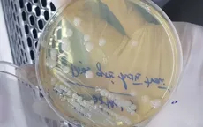 Bộ Y tế khuyến cáo phòng bệnh Whitmore