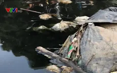 Ô nhiễm kênh Bắc Hưng Hải ảnh hưởng đến cuộc sống của hàng nghìn hộ dân