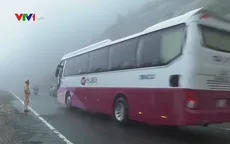 Giao thông nối Đà Lạt với Nha Trang không bị ảnh hưởng bão số 6