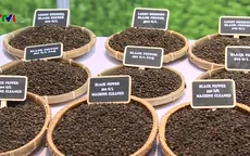 Ngành hồ tiêu Việt Nam đối mặt với nhiều thách thức để tìm đầu ra